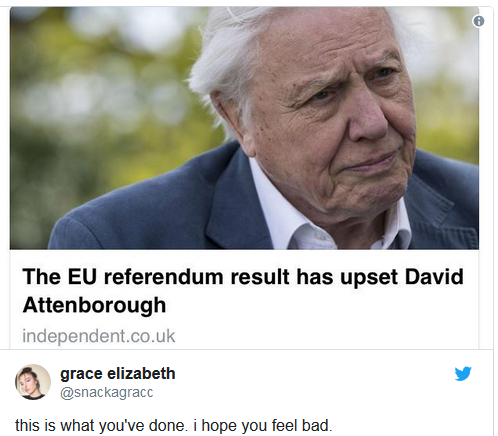 Best Brexit Tweets - Grace Elizabeth 