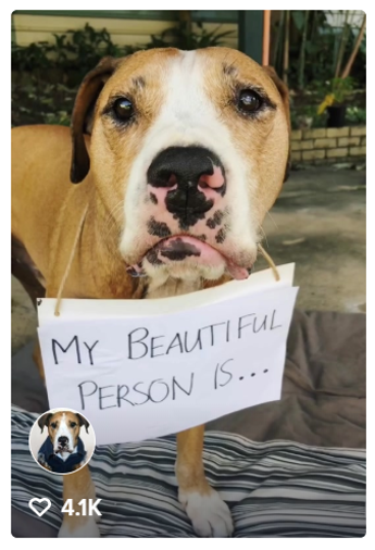 Pit Bulls Are Excellent Mothers With Images Dog Love Nanny Dog I Love Dogs